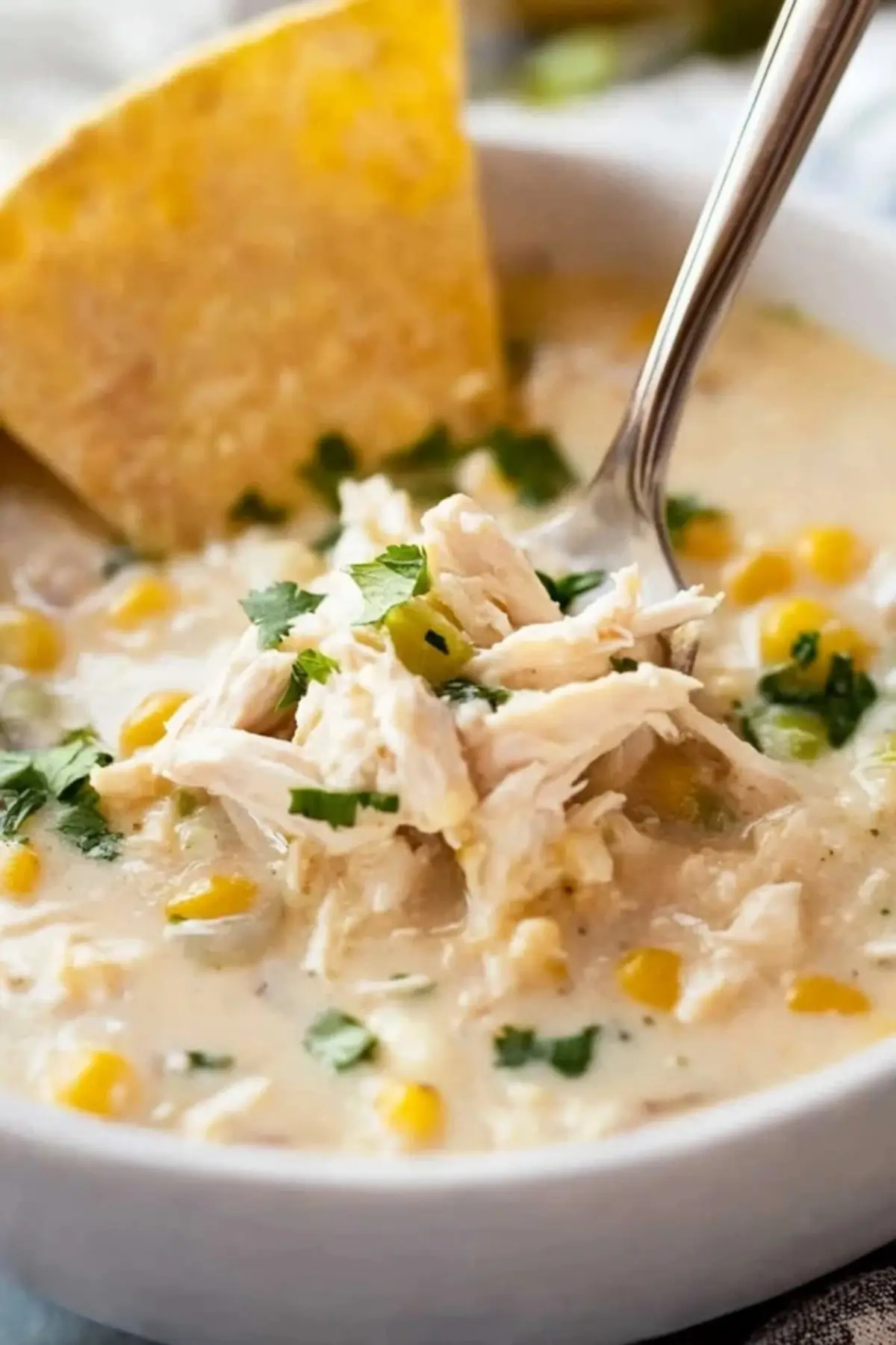 Creamy Crockpot White Chicken Chili