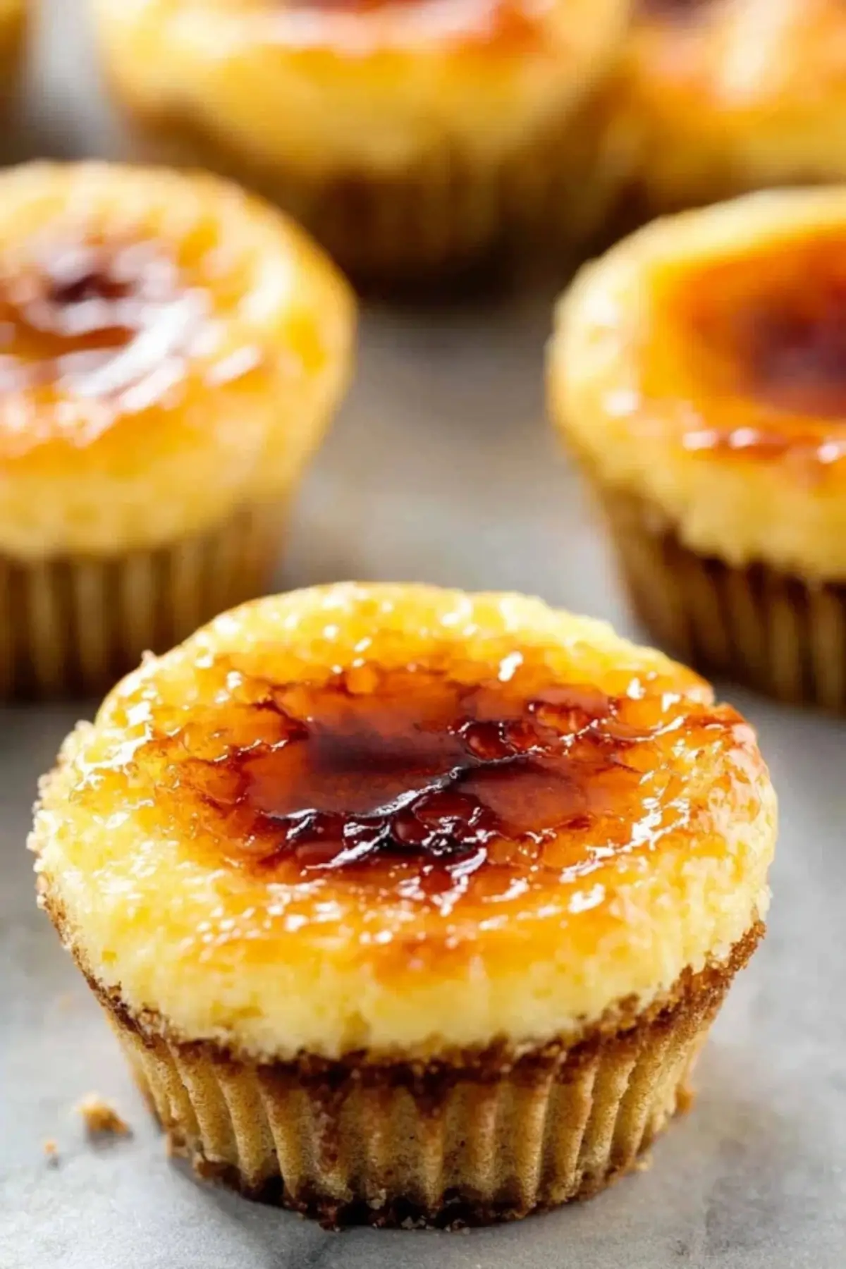 Crème Brûlée Cheesecake Cupcakes