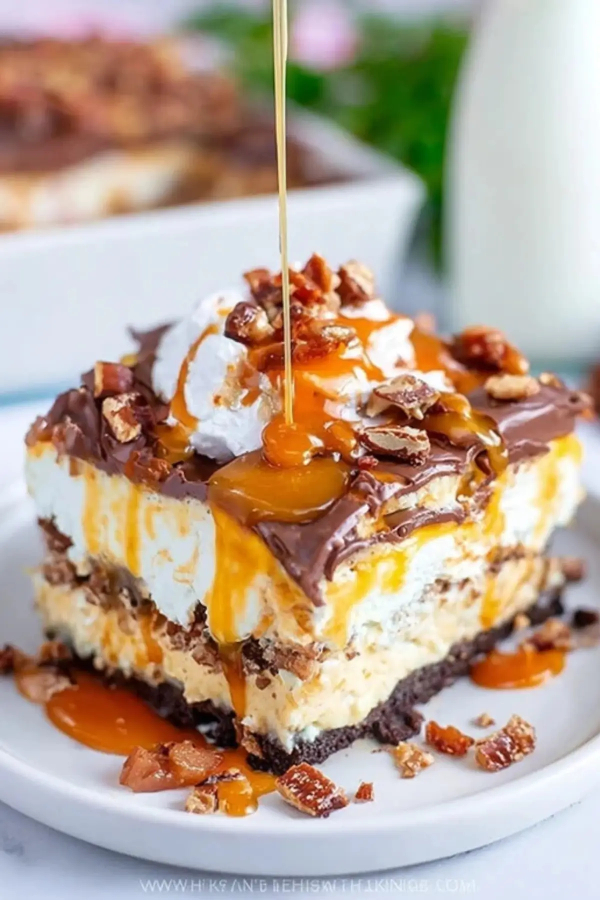 5 Layer Turtle Lasagna