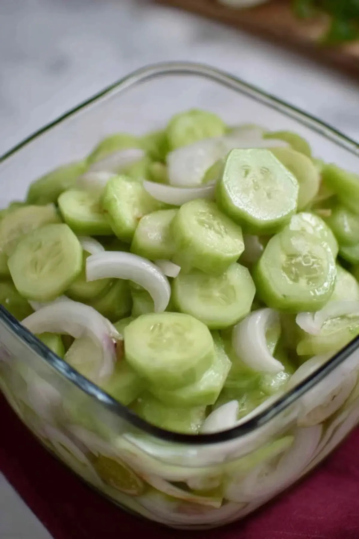 Cucumber and Onions in Vinegar