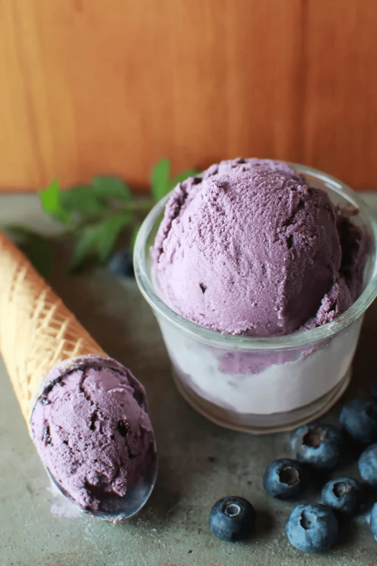 Homemade Blueberry Ice Cream