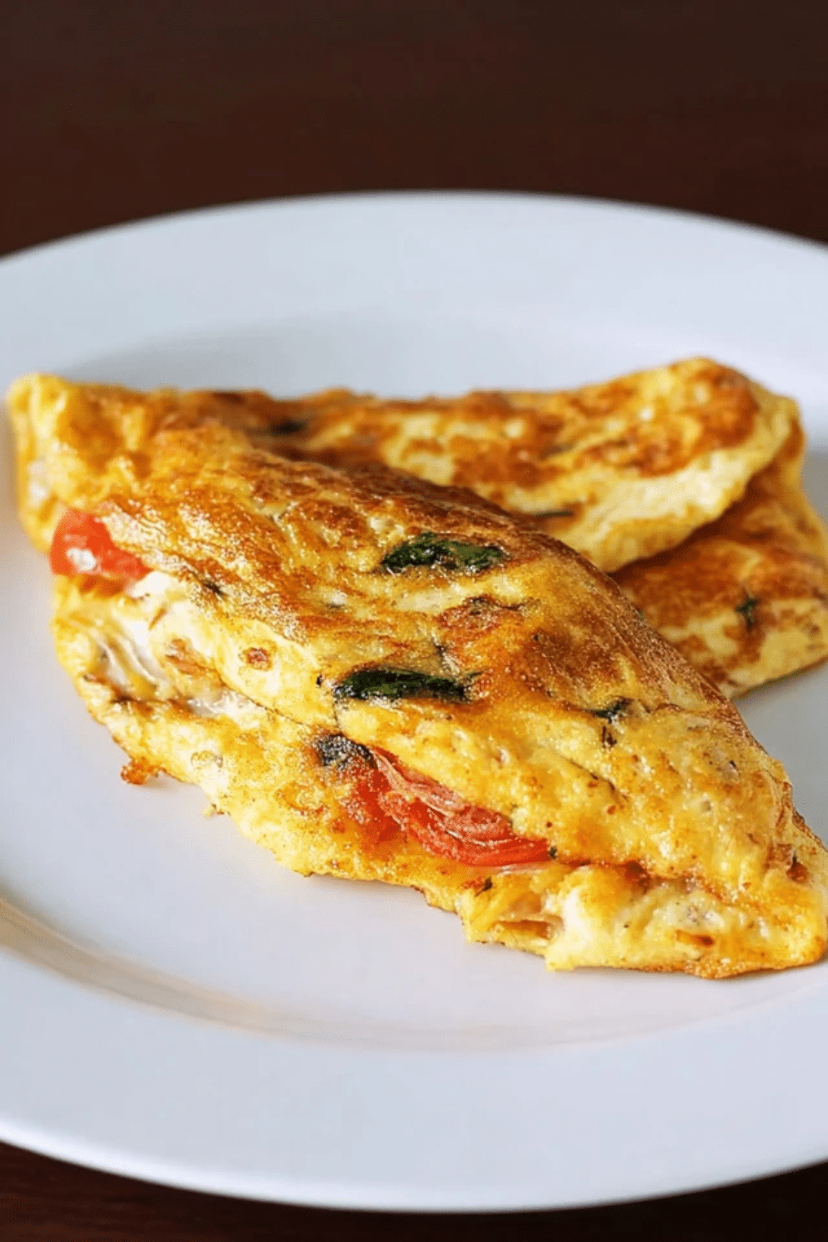Mozzarella Cheese Omelette