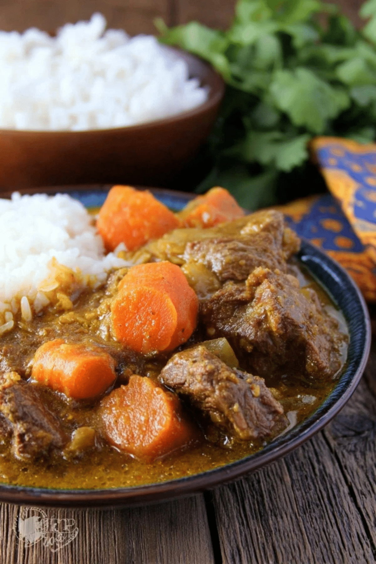 Slow Cooker Coconut Curry Beef Stew