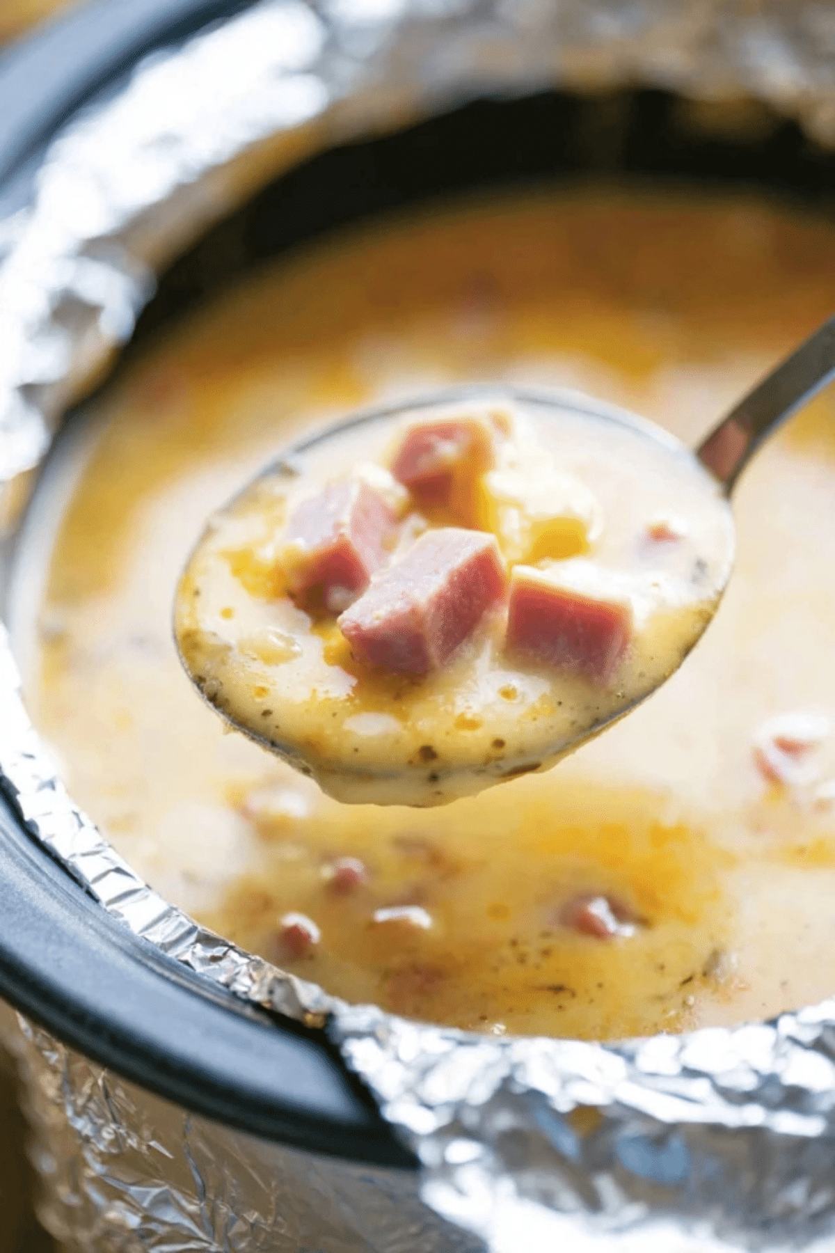 Slow Cooker Ham and Cheese Soup
