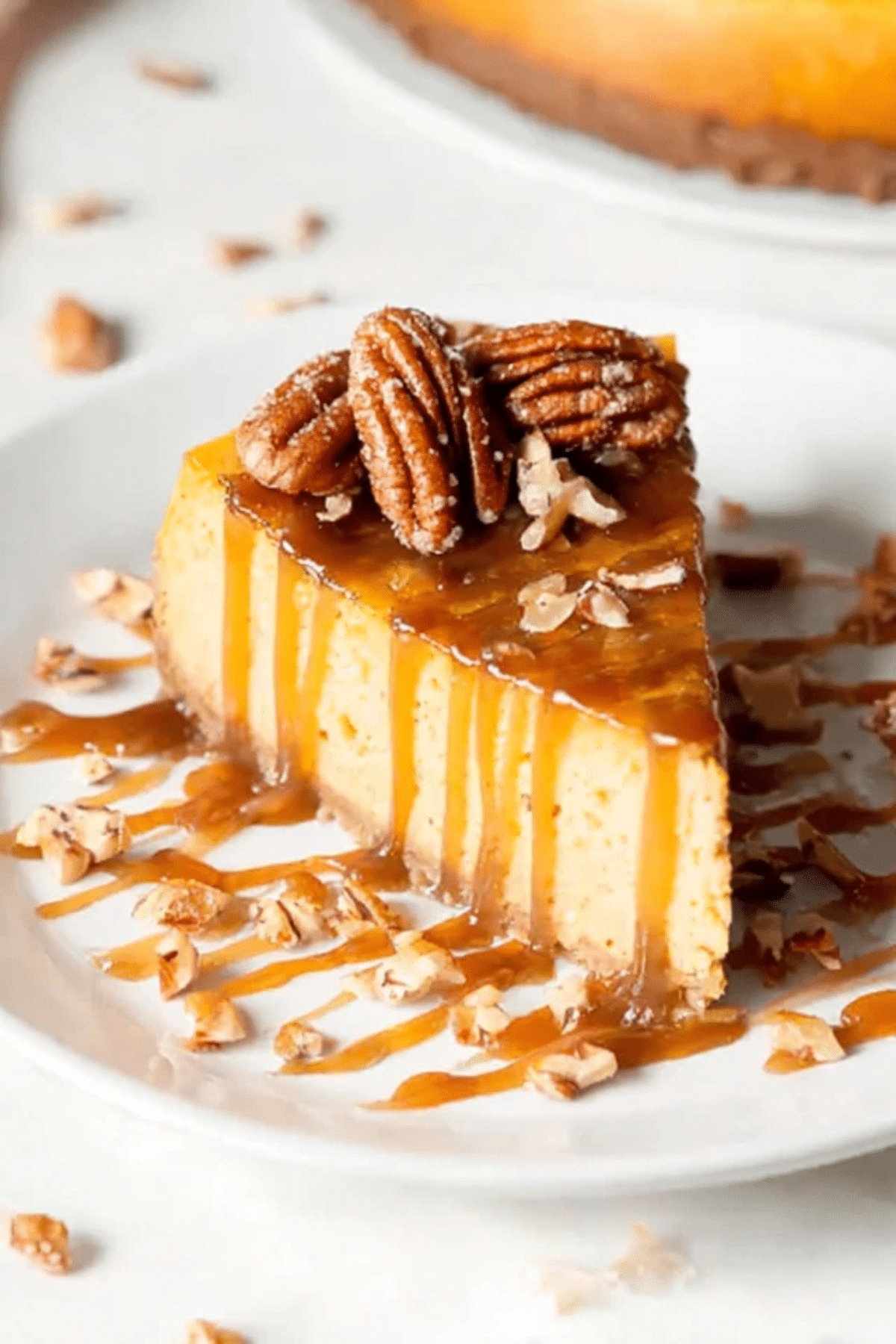 Turtle Pumpkin Cheesecake