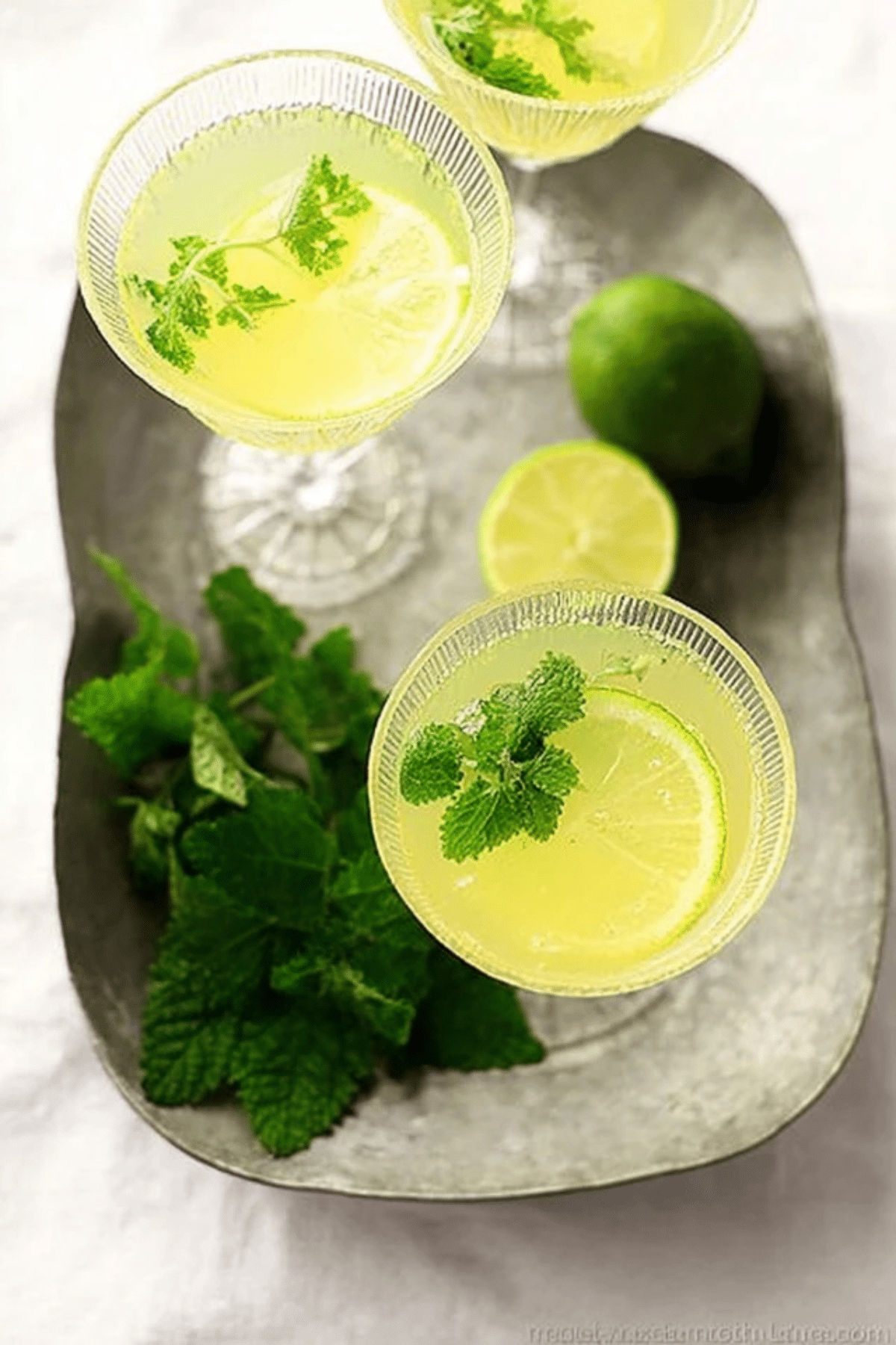 lemon balm recipes