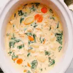 Crockpot Chicken Gnocchi Soup