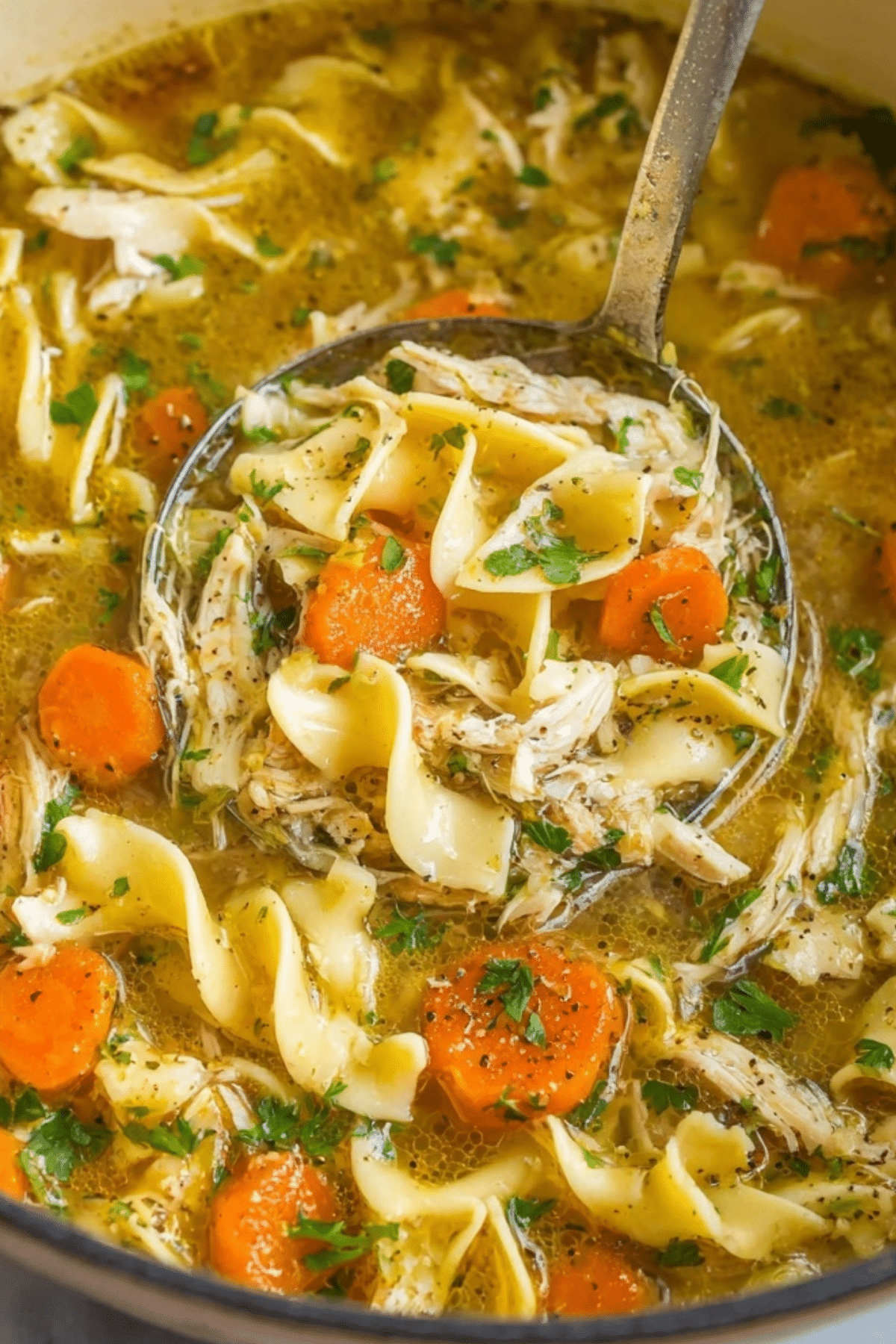 Chicken Noodle Soup with Egg Noodles – Comforting Homemade Soup