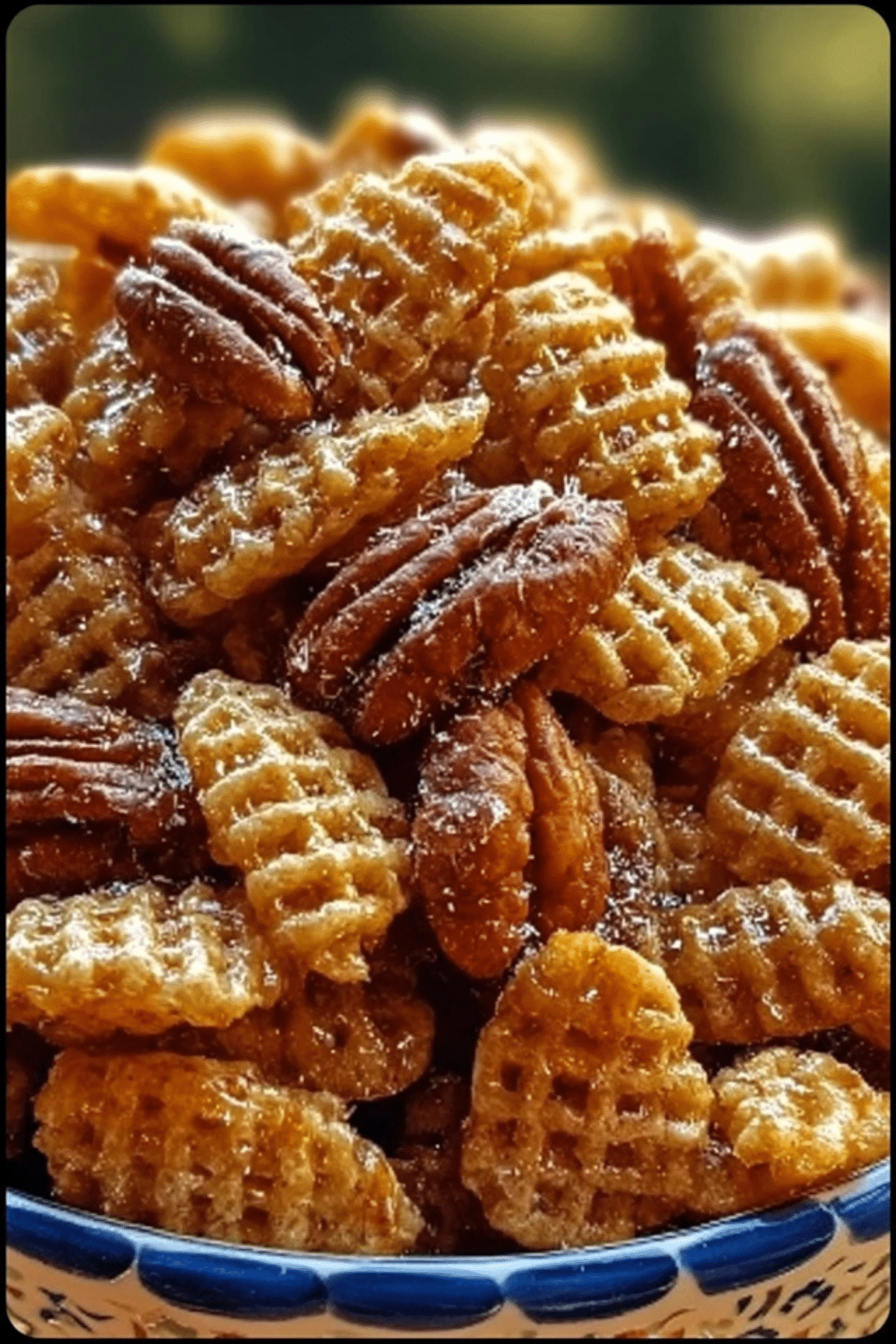 Praline Crunch Crispix Pecan (6)