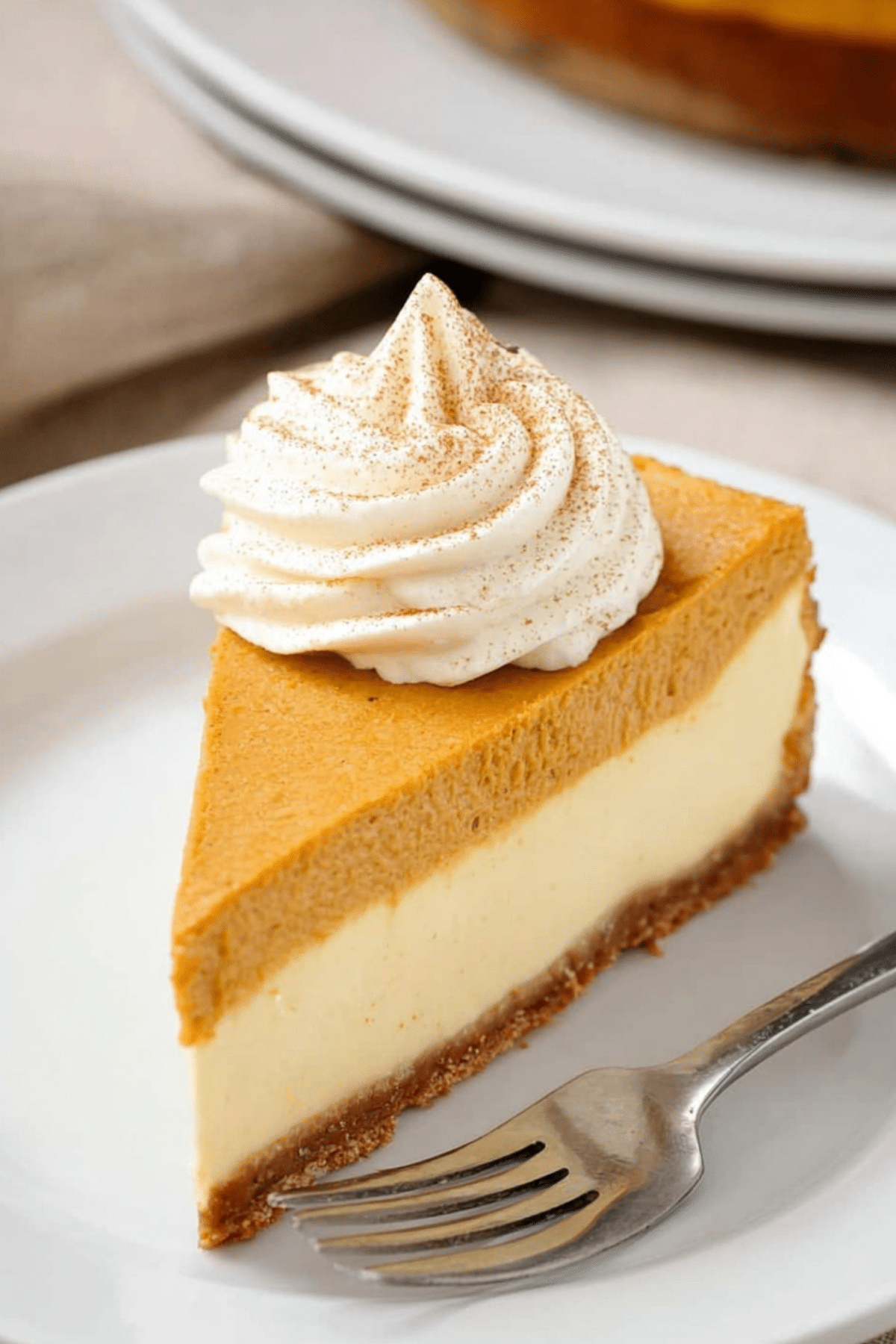 Pumpkin Pie Cheesecake with whipped cream topping