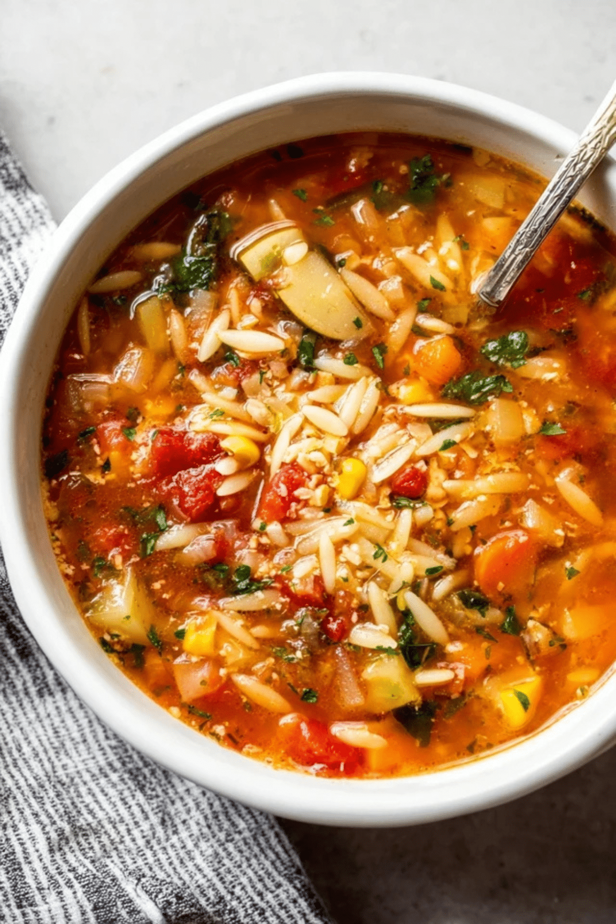 Vegetable Orzo Soup (2)