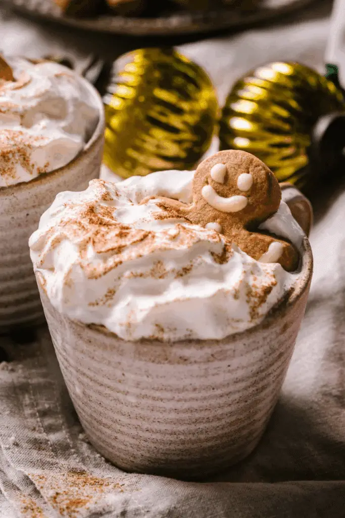 Cozy Gingerbread Latte in mug topped with whipped cream and cinnamon