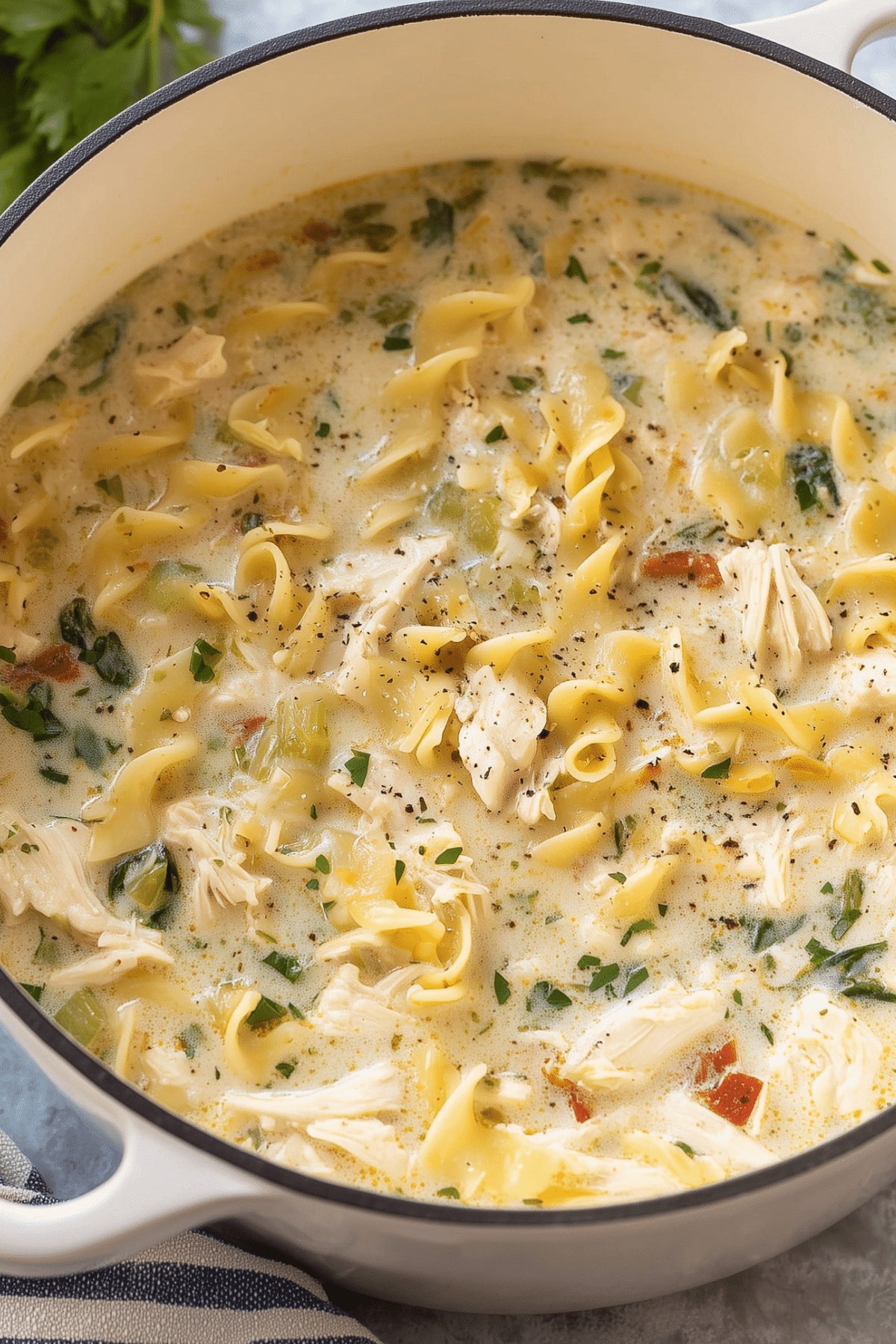 White Chicken Lasagna Soup served in a bowl with cheese and spinach