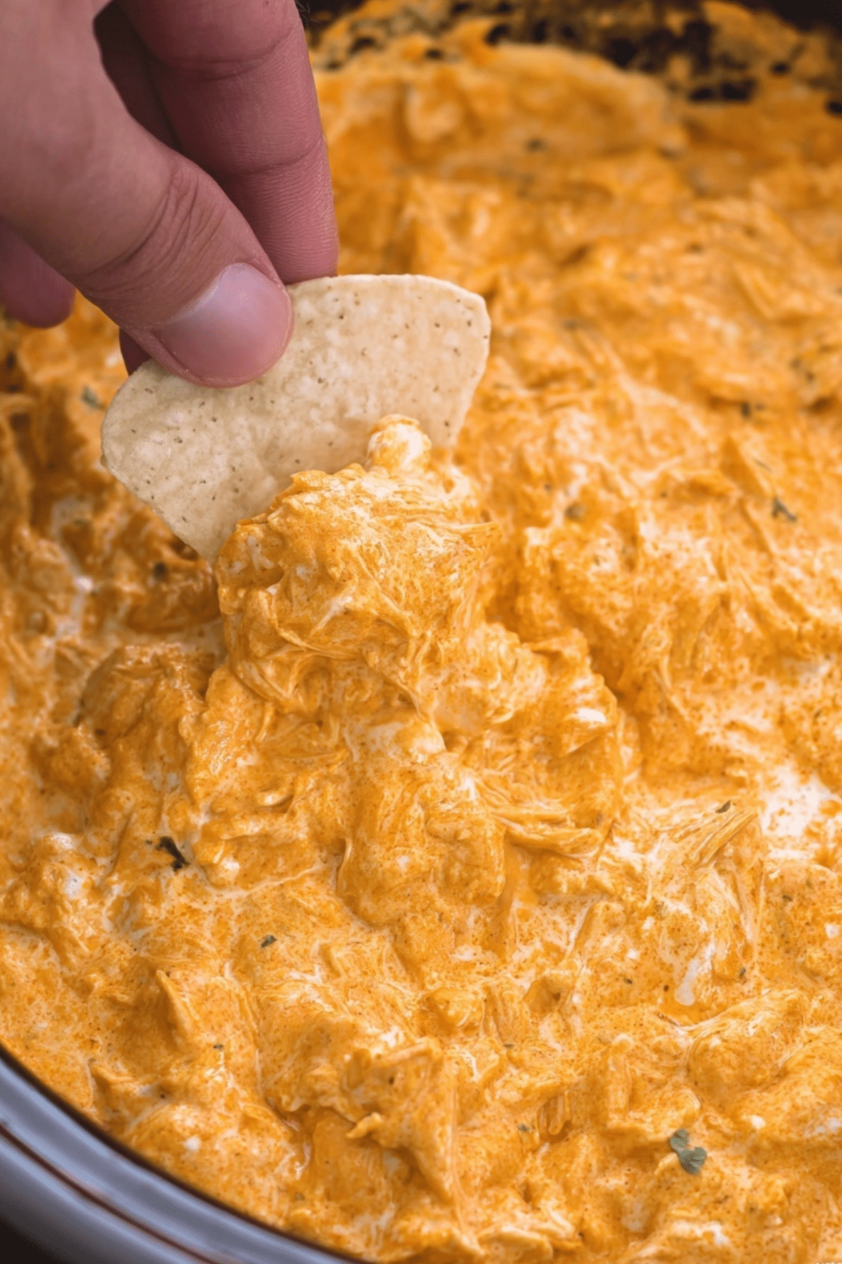 Crockpot Buffalo Chicken Dip served with chips and celery sticks