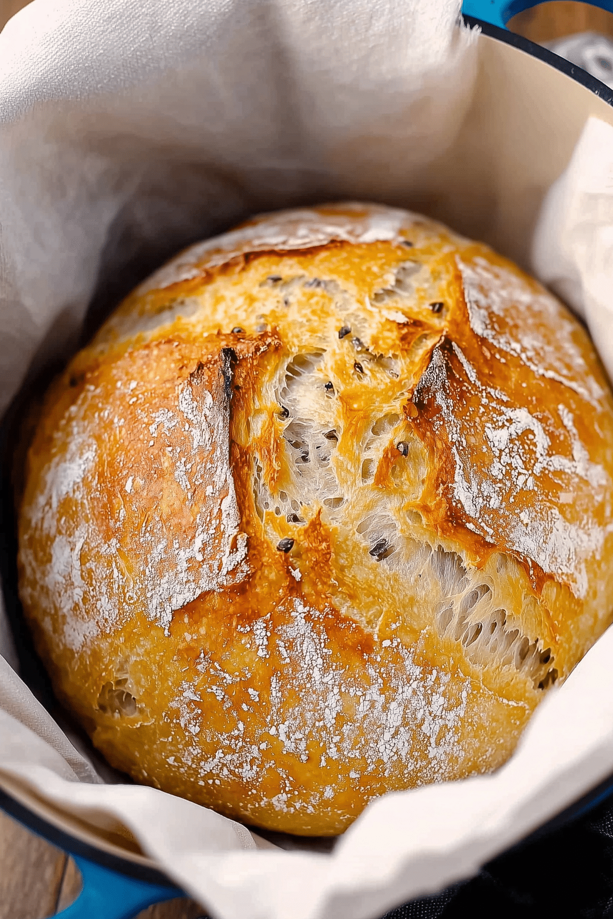 Dutch Oven No Knead Bread with perfect crusty crust