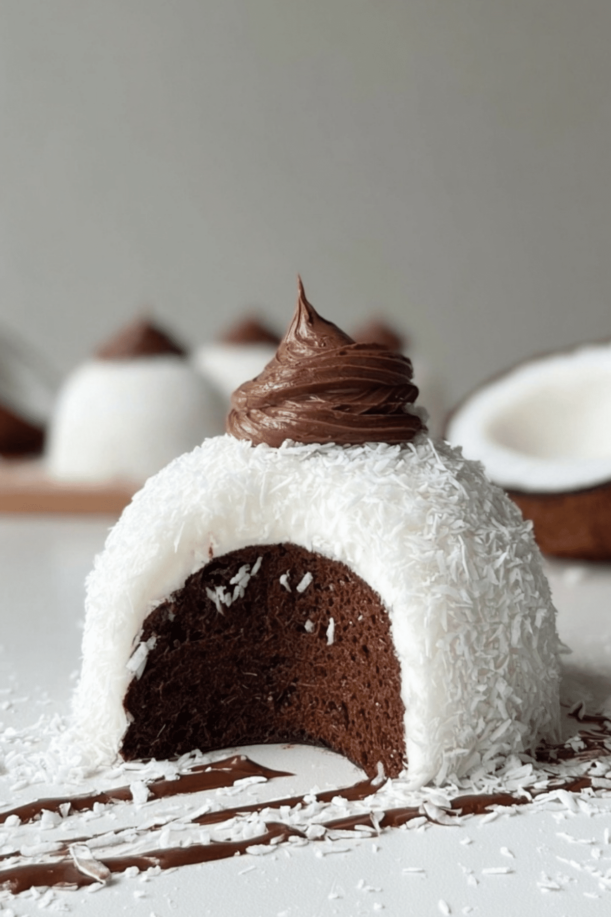 Coconut Dome with Chocolate Spread dessert with rich chocolate and coconut mousse